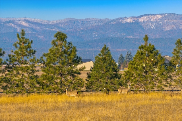881 Lone Coyote Trl, Kalispell, MT 59901 - view of mountain background