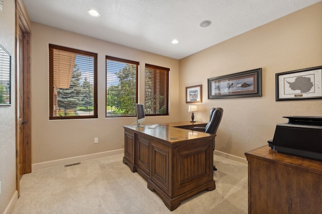 home office with a textured ceiling, light colored carpet, and plenty of natural light