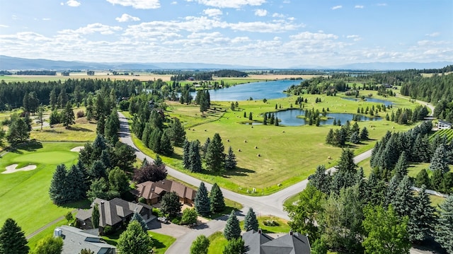 bird's eye view with a water and mountain view