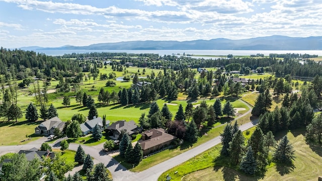 birds eye view of property featuring a mountain view