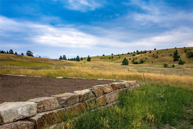 view of local wilderness with a rural view