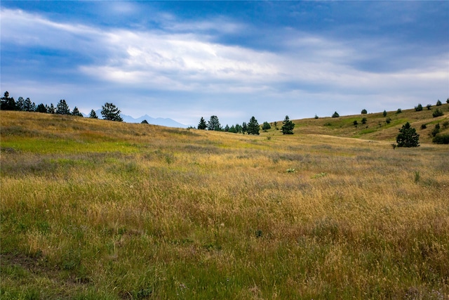 view of local wilderness featuring a rural view