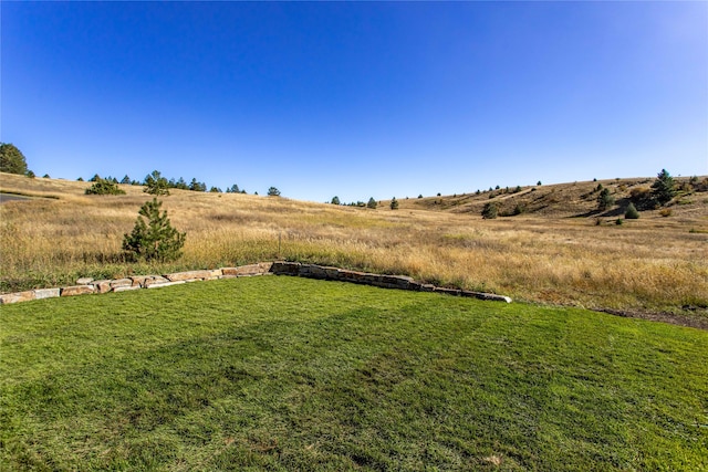 view of yard with a rural view