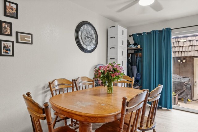 dining area with ceiling fan and light hardwood / wood-style flooring