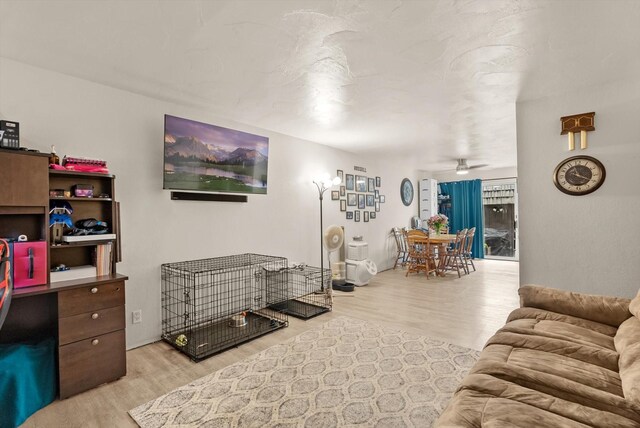 living room with ceiling fan and light wood-type flooring