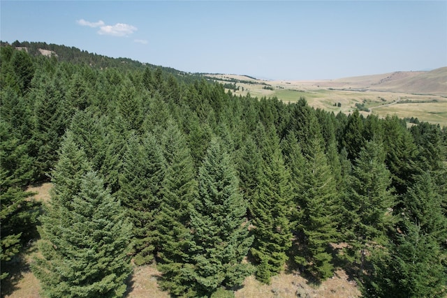 LOT25 Sun W Rnch, Cameron, MT 59720