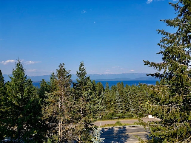 view of water feature with a mountain view