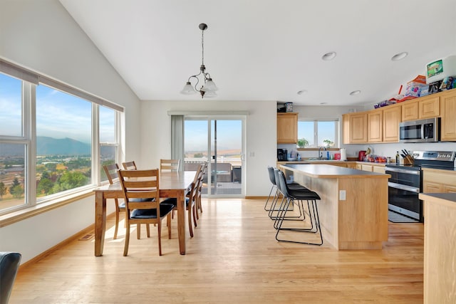 kitchen with a kitchen island, appliances with stainless steel finishes, light hardwood / wood-style flooring, and a wealth of natural light