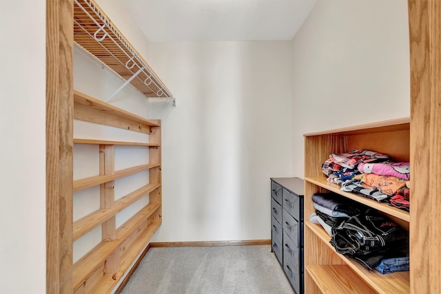 walk in closet with light carpet