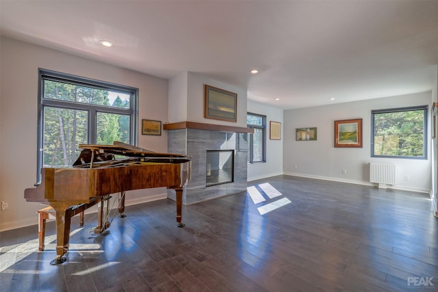 miscellaneous room featuring radiator, dark hardwood / wood-style floors, and a high end fireplace