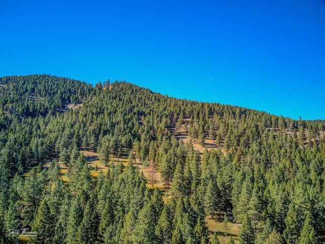 property view of mountains