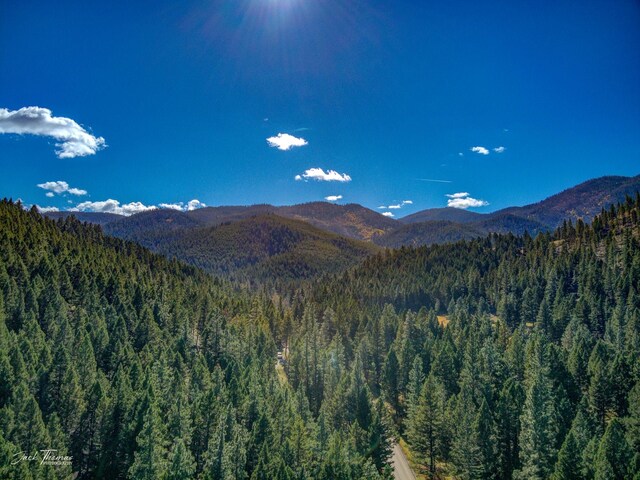 view of mountain feature