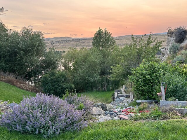 view of yard at dusk