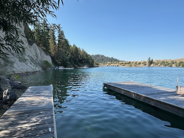 dock area with a water view