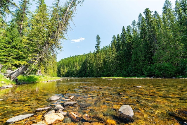 view of local wilderness featuring a wooded view