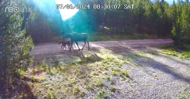3096 Steel Mountain Trl, Marion, MT 59925
