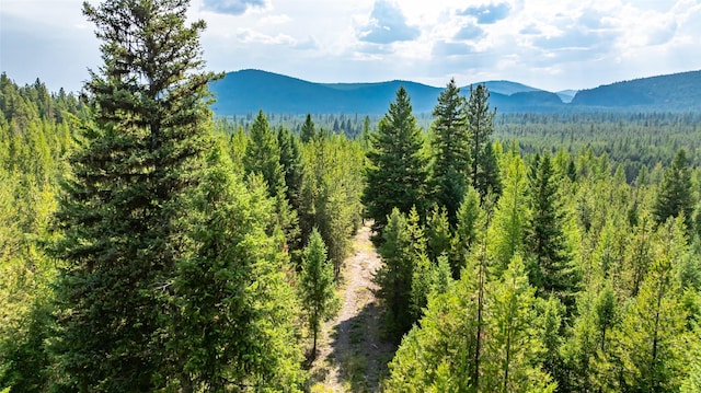 3096 Steel Mountain Trl, Marion, MT 59925