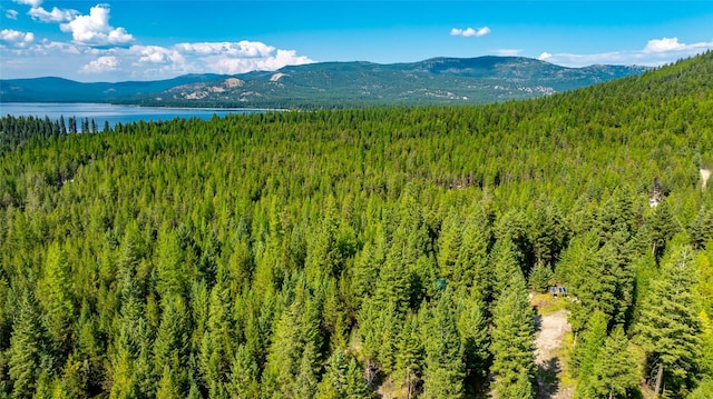 3096 Steel Mountain Trl, Marion, MT 59925