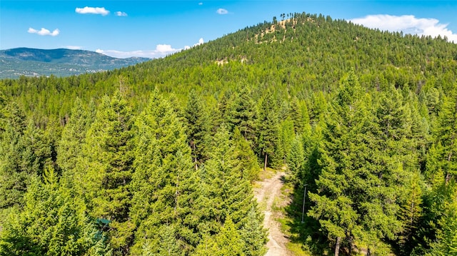 3096 Steel Mountain Trl, Marion, MT 59925