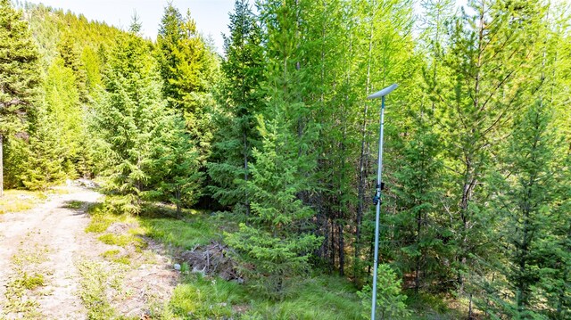 3096 Steel Mountain Trl, Marion, MT 59925