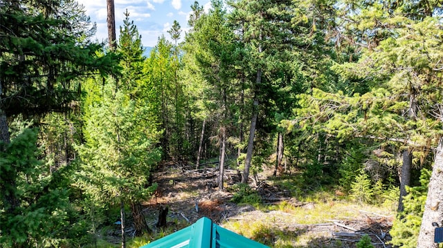 3096 Steel Mountain Trl, Marion, MT 59925