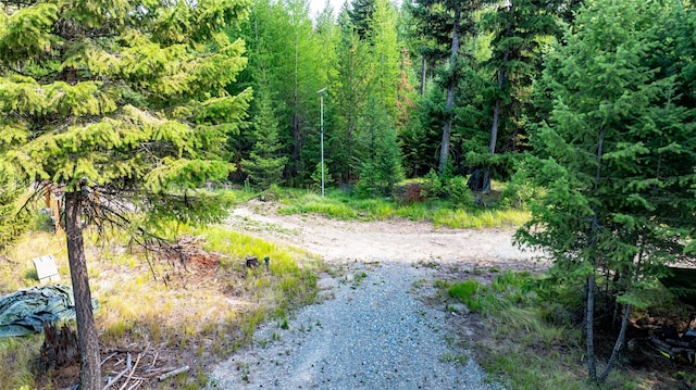3096 Steel Mountain Trl, Marion, MT 59925