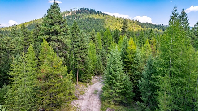 3096 Steel Mountain Trl, Marion, MT 59925