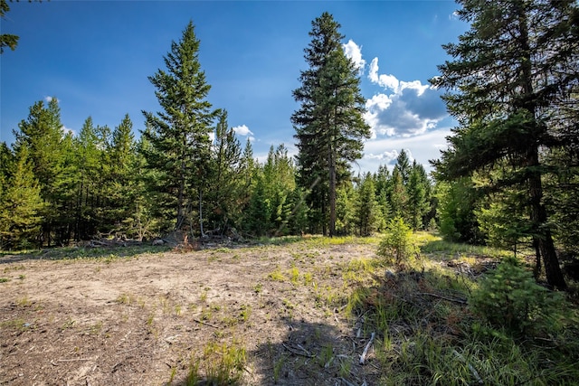 3096 Steel Mountain Trl, Marion, MT 59925