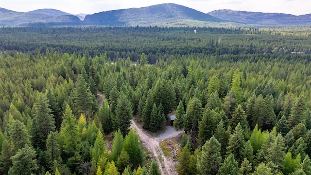 3096 Steel Mountain Trl, Marion, MT 59925