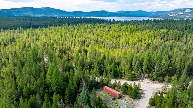 3096 Steel Mountain Trl, Marion, MT 59925
