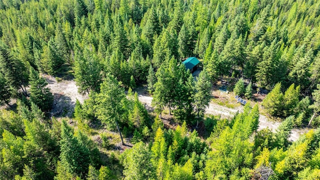 3096 Steel Mountain Trl, Marion, MT 59925