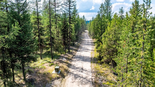 3096 Steel Mountain Trl, Marion, MT 59925