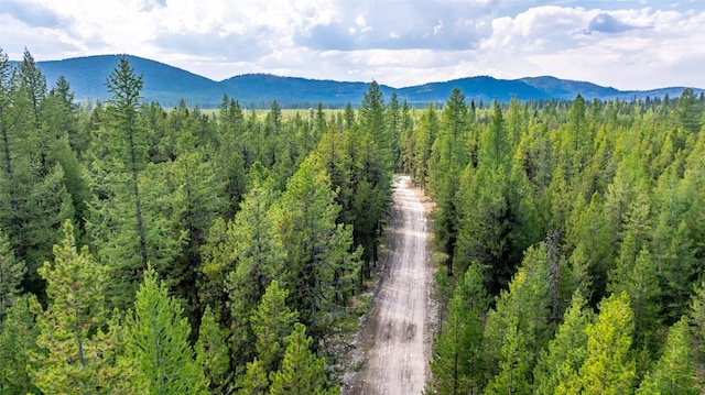 3096 Steel Mountain Trl, Marion, MT 59925