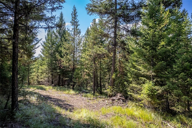 NHN Steel Mountain Trail, Marion, MT 59925