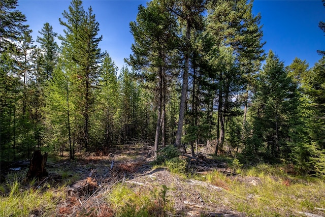 NHN Steel Mountain Trail, Marion, MT 59925