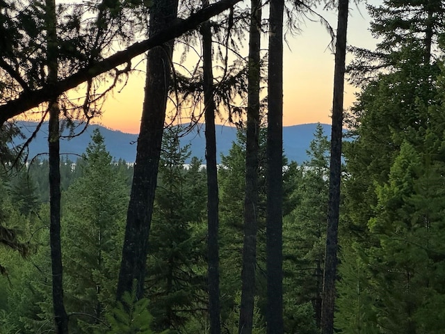 3096 Steel Mountain Trl, Marion, MT 59925