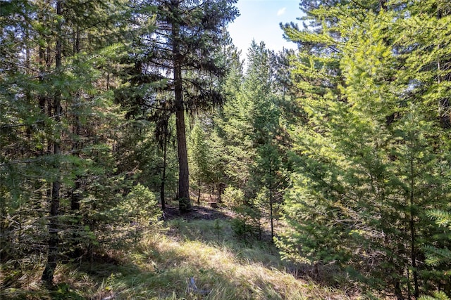NHN Steel Mountain Trail, Marion, MT 59925