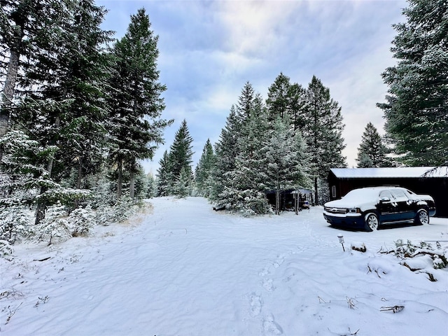 NHN Steel Mountain Trail, Marion, MT 59925