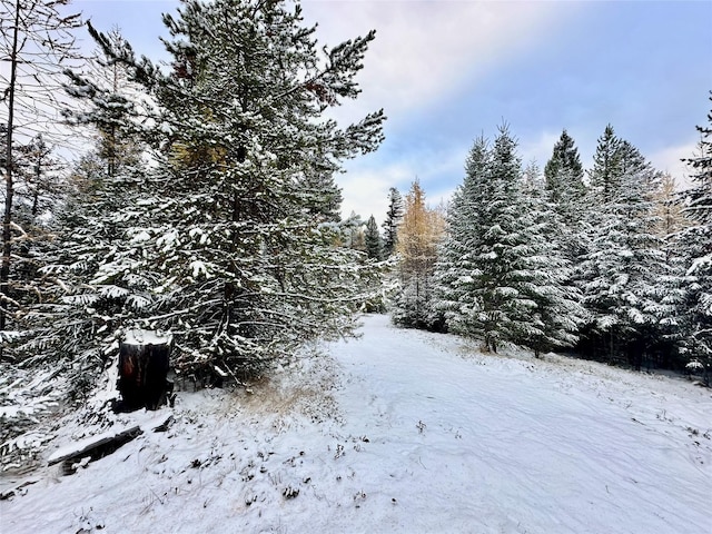 NHN Steel Mountain Trail, Marion, MT 59925
