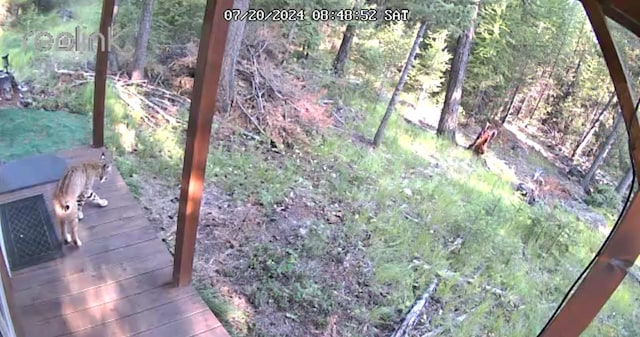 3096 Steel Mountain Trl, Marion, MT 59925