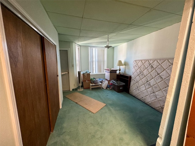 interior space featuring carpet flooring, a closet, and a drop ceiling