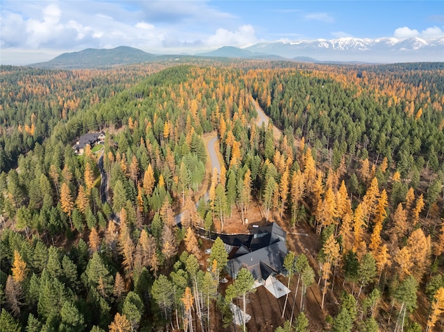 birds eye view of property with a mountain view