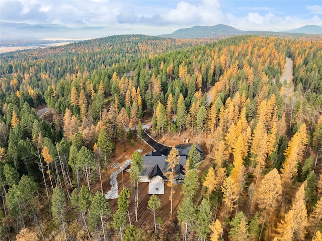 bird's eye view with a mountain view