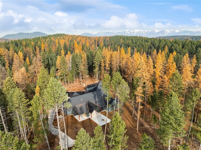 aerial view with a mountain view