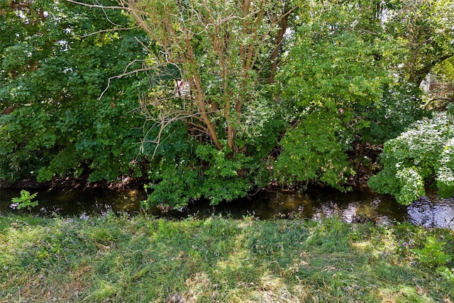 view of local wilderness with a water view