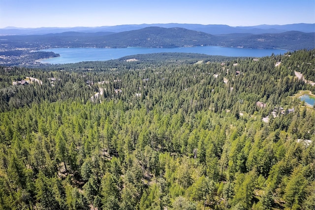 201 Woodlandstar Cir, Whitefish, MT 59937