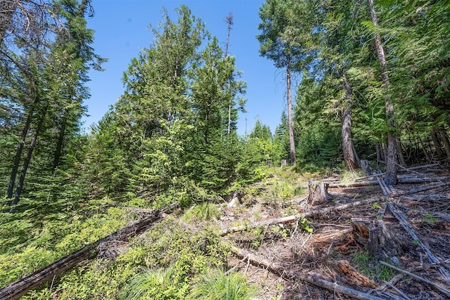 201 Woodlandstar Cir, Whitefish, MT 59937