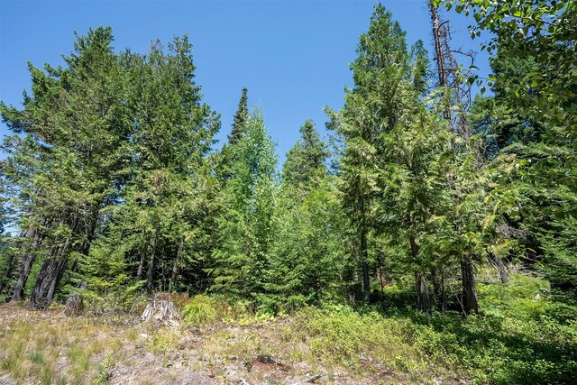 201 Woodlandstar Cir, Whitefish, MT 59937
