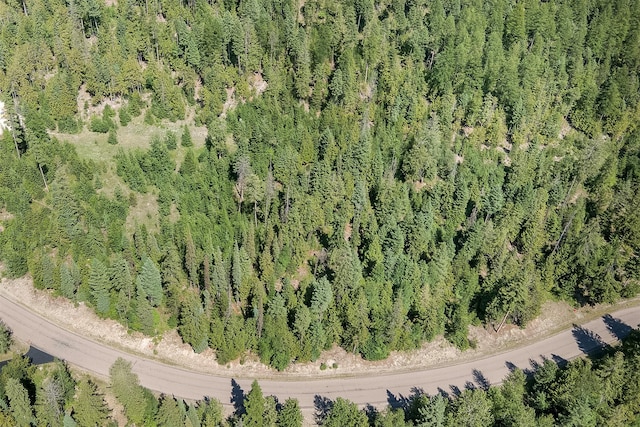 201 Woodlandstar Cir, Whitefish, MT 59937