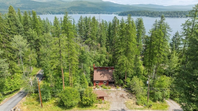 aerial view with a view of trees and a water and mountain view